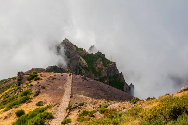 Hiker admiring Pico do Arierio,  Ruivo, Madeira, Portugal, Europe — Zdjęcie stockowe