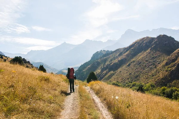 Güney Tien Shan Kazakistan dağlarında giden yolda yürüyen turist