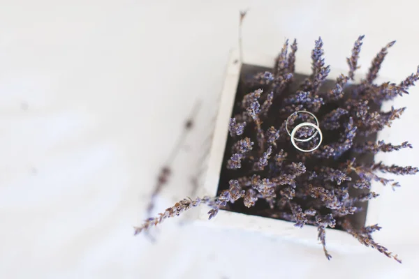 Alyans lavanta çiçekleri üzerinde