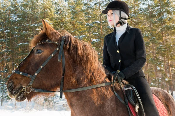 Joven hermosa chica jinete a caballo en el bosque de invierno — Foto de Stock