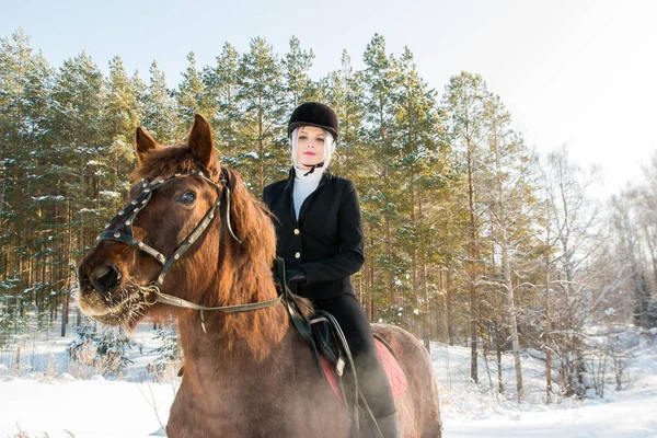 Joven hermosa chica jinete a caballo en el bosque de invierno — Foto de Stock