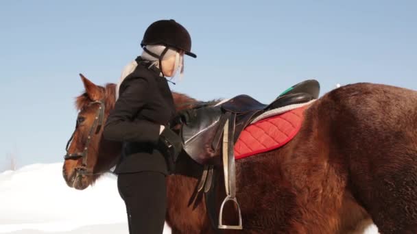 Junge schöne Jockeys, die sich im Winter um ein Pferd kümmern — Stockvideo