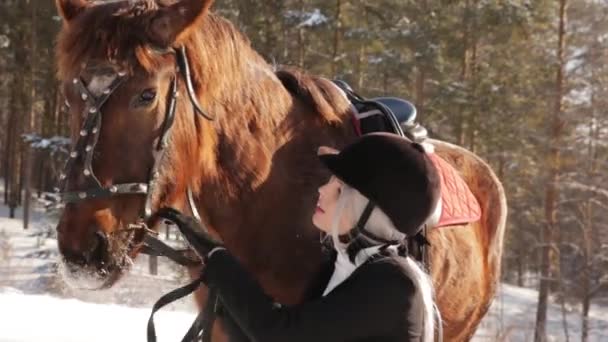 Молодая красивая девушка жокей и лошадь в зимнем лесу — стоковое видео