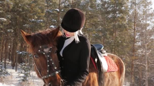 Молодая красивая девушка жокей и лошадь в зимнем лесу — стоковое видео