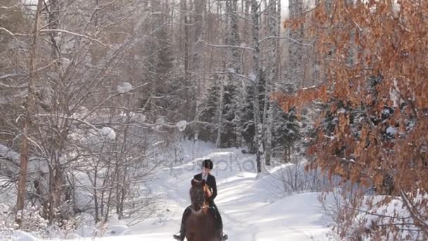 겨울 숲에서 말을 타고 젊은 아름 다운 소녀 기 수 — 비디오