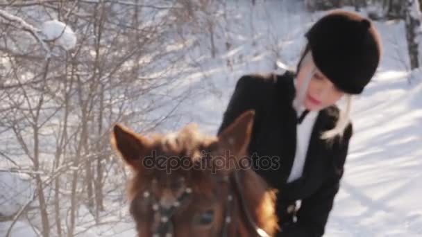 Joven hermosa chica jinete y caballo en el bosque de invierno — Vídeos de Stock