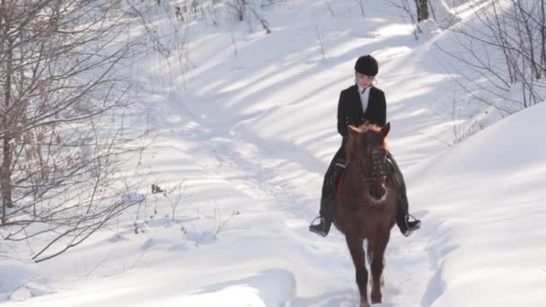 Ung vacker flicka jockey rider en häst i vinter skog — Stockvideo