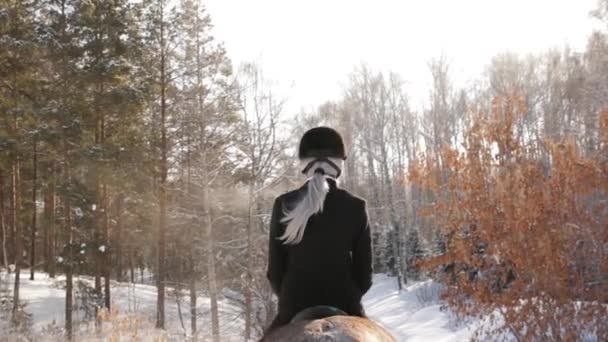 Jeune belle fille jockey chevauchant un cheval dans la forêt d'hiver — Video