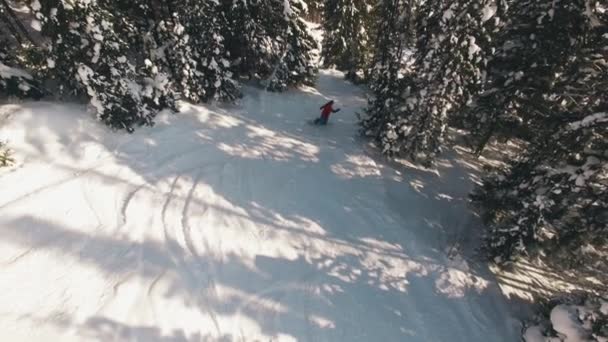 Snowboarding freeriding in forest aerial view — Stock Video