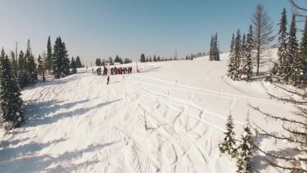 Σκι με χιονοσανίδα freeriding σε εναέρια θέα στο δάσος — Αρχείο Βίντεο