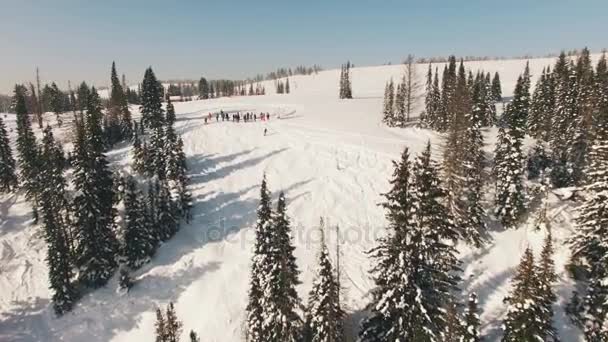 Snowboarding freeriding na vista aérea da floresta — Vídeo de Stock