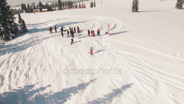 Snowboarding freeriding na vista aérea da floresta — Vídeo de Stock