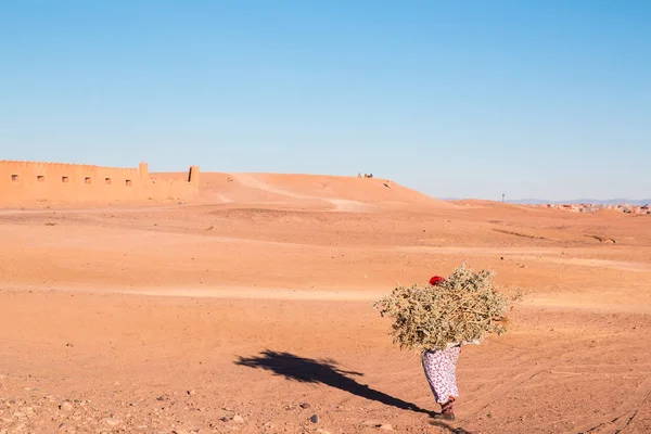 Samotna kobieta ładunkiem drewna pustyni Maroko 11 stycznia 2017 r. — Zdjęcie stockowe
