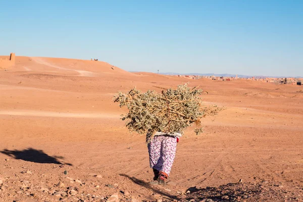 Samotna kobieta ładunkiem drewna pustyni Maroko 11 stycznia 2017 r. — Zdjęcie stockowe