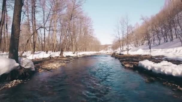Tavaszi patak az erdőben. Évszakok és a tavasz kezdete. — Stock videók