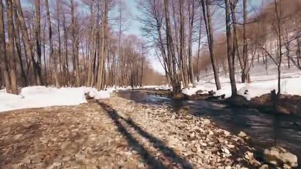 Vackra floden i skogen våren, Bashkortostan Ryssland — Stockvideo