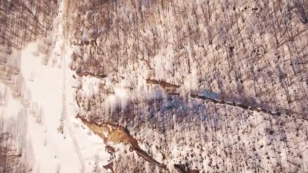 Vårskog i Uralbergen på en solig dag Basjkirien, Ryssland — Stockvideo
