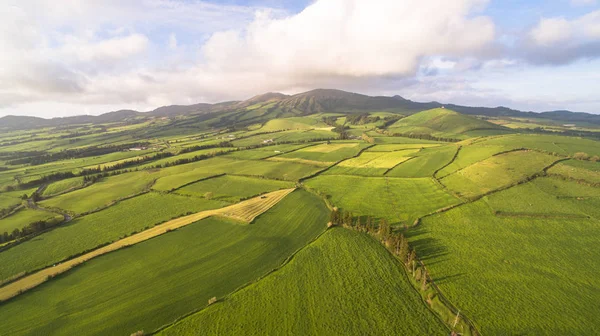 Tarım alanları Sao Miguel Island Azores, Portekiz geniş açılı havadan görünümü