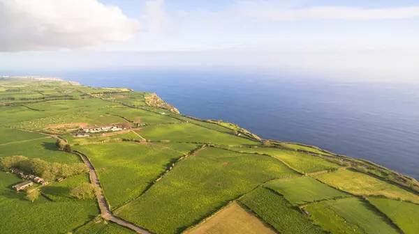 Campos verdes de Azores con el océano atlántico en el fondo — Foto de Stock