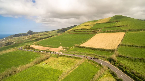 Widok na wiejski krajobraz Wyspa Sao Miguel z krowy Azory, Portugalia — Zdjęcie stockowe