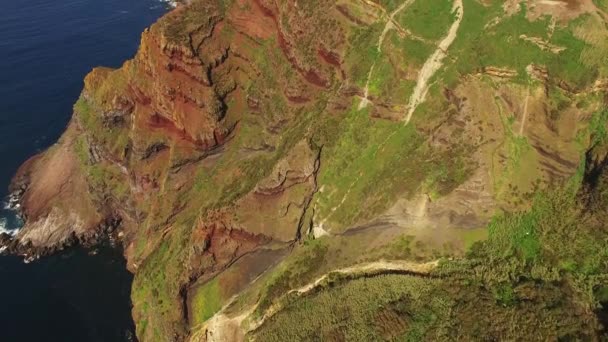Campos verdes dos Açores com oceano atlântico em segundo plano — Vídeo de Stock