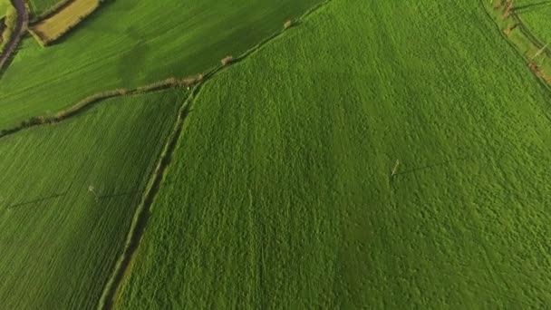 Πανοραμική θέα την όμορφη πράσινη τομείς γεωργικών: το São Miguel, Αζόρες, Πορτογαλία. — Αρχείο Βίντεο