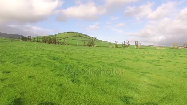 Fliegen über schöne grüne landwirtschaftliche Felder im sao miguel bei sonnigem Tag, Azoren, Portugal. — Stockvideo