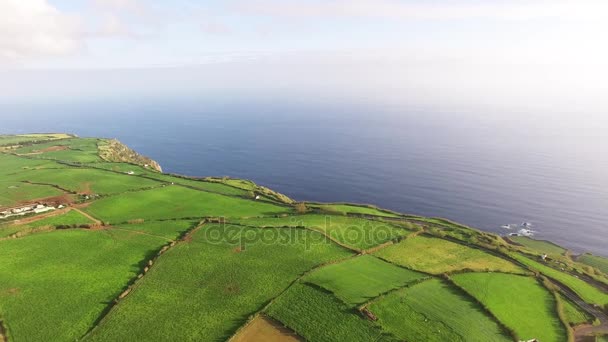 Vue aérienne des champs agricoles de l'île de Sao Miguel aux Açores, Portugal grand angle — Video