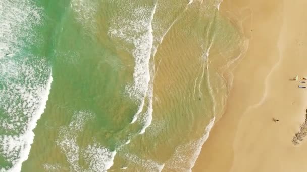 Surfer auf einem Ozean auf praia do campismo und Insel baleal naer peniche, portugal — Stockvideo