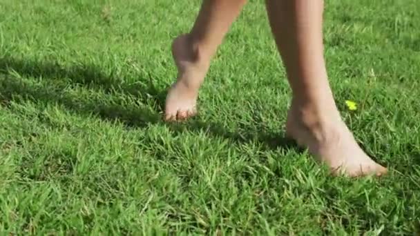 Dziewczyny, chodzenie na zielony trawnik stopy zbliżenie — Wideo stockowe