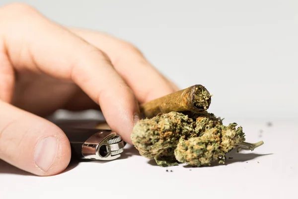 Mani su sfondo bianco con una canna da cannabis e marijuana. Dipendenza da marijuana Fotografia Stock