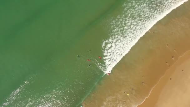 Csoport szörfözés tanulság a Costa Caparica gyönyörű ocean beach, Portugália. Légifelvételek — Stock videók