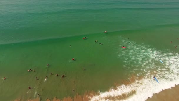Групповой урок серфинга на Коста Капарика, красивый океан, Португалия. Вид с воздуха — стоковое видео