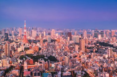 Altın saat boyunca Tokyo Kulesi ve şehir silueti