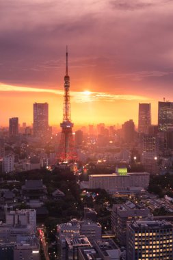 Altın saat boyunca Tokyo Kulesi ve şehir silueti