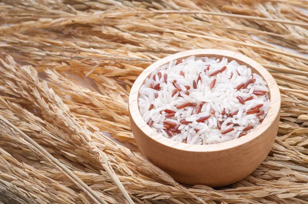 Mixed rice and Rice-berry On wooden bowl.