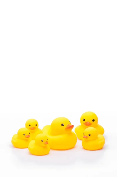 Yellow rubber duck toy on white background — Stock Photo, Image