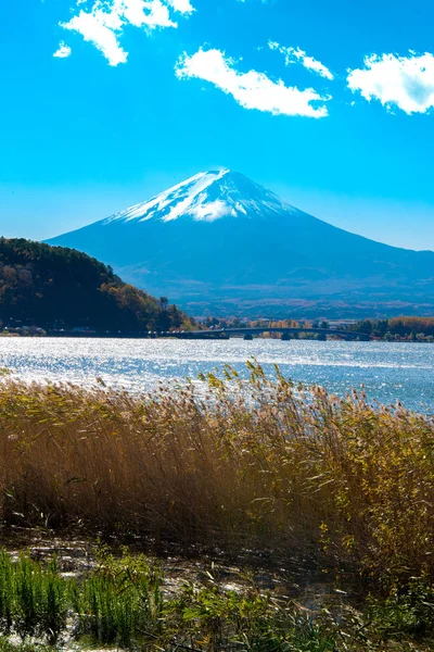 Фудзи, Япония - Озеро Кавагутико - одно из лучших мест в Японии — стоковое фото