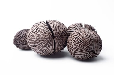 İntihar ağacı, Pong-pong, Othalanga, Cerbera odollam 