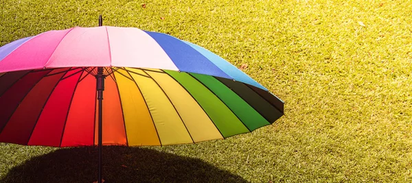 rainbow umbrella in grass field vintage and retro tone, soft foc