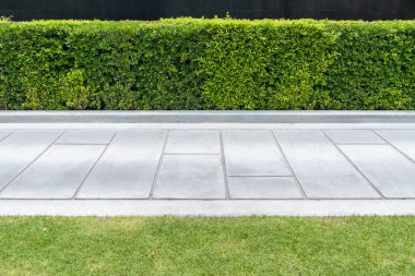 Parkta çimenli beton yol
