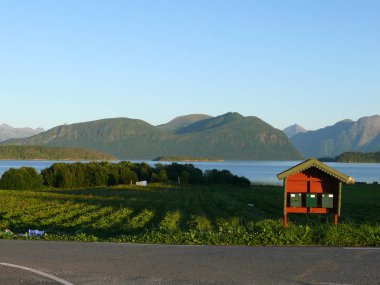 Norveç, deniz kıyısı üzerinde çilek alan