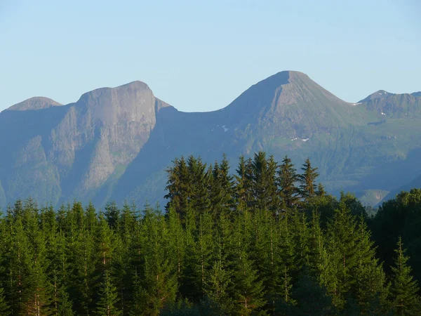 Norsko, hory a stromy — Stock fotografie