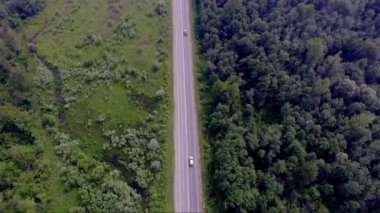 yolda bir yükseklikten sisli orman