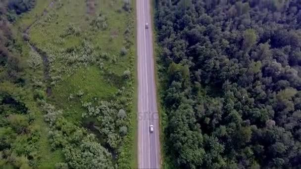 Straße im nebligen Wald aus der Höhe — Stockvideo