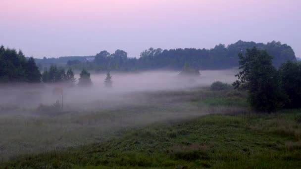 Una hermosa niebla envuelve la tierra en el crepúsculo — Vídeos de Stock