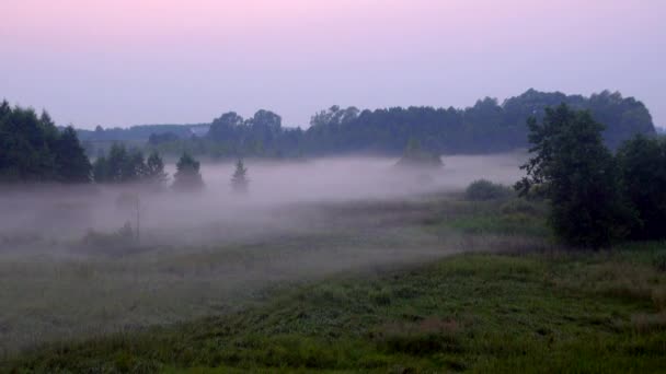 un beau brouillard enveloppe la terre au crépuscule 
