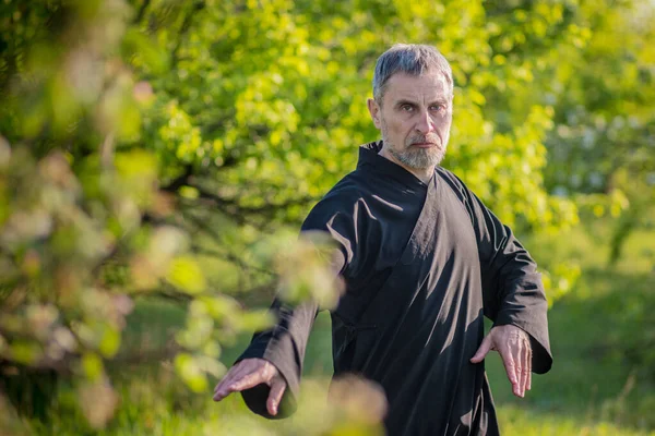 European master practicing qi qong taijiquan in the green park. Breathing exercise and martial art moves, traditional chinese qi energy management gymnastics