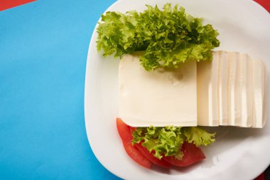 Tablo arka plan üzerinde Mozzarella peyniri