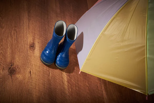 Umbrella and rubber boots — Stock Photo, Image
